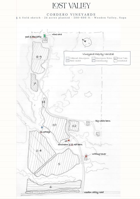 CV Map